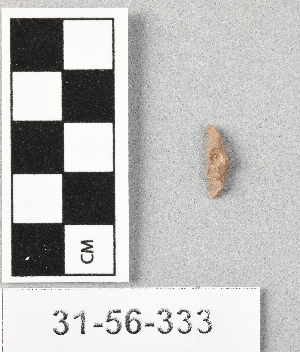 31-56-333