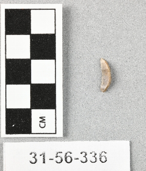 31-56-336