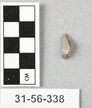 31-56-338