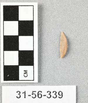 31-56-339
