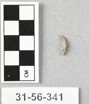 31-56-341