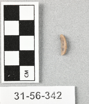 31-56-342