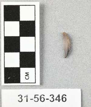 31-56-346
