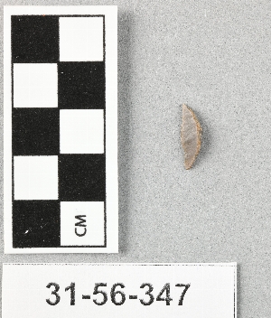 31-56-347