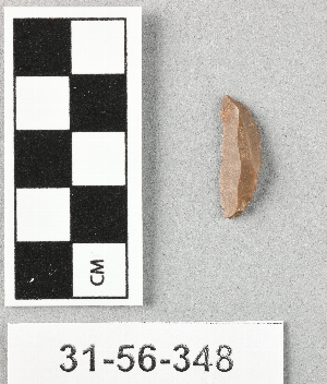 31-56-348
