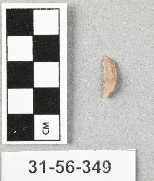 31-56-349