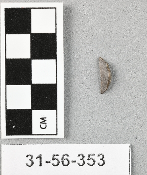 31-56-353