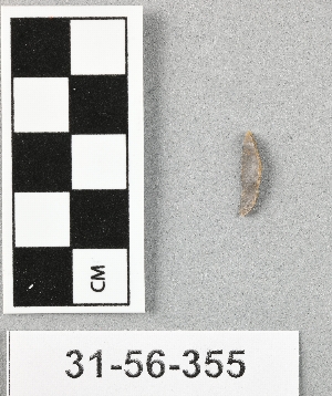 31-56-355