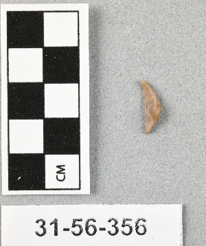 31-56-356