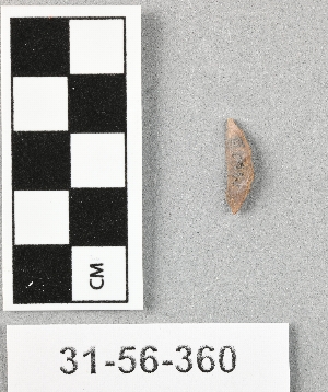 31-56-360