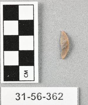 31-56-362