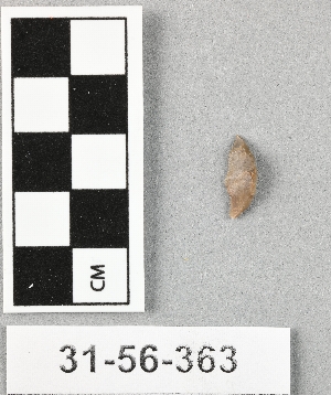 31-56-363