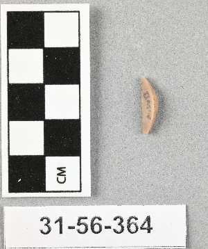 31-56-364