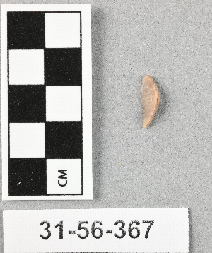 31-56-367