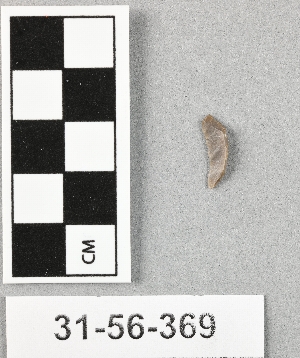31-56-369
