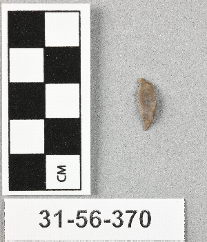 31-56-370