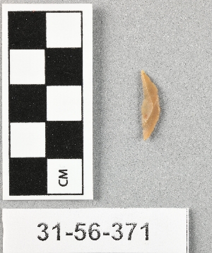 31-56-371