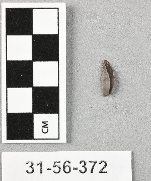 31-56-372
