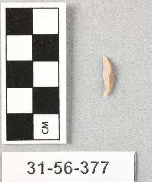 31-56-377
