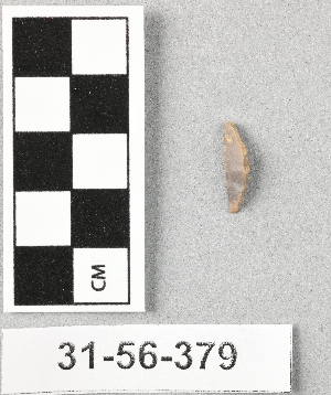 31-56-379