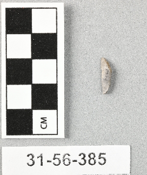 31-56-385