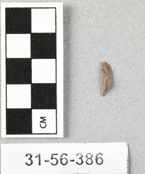 31-56-386