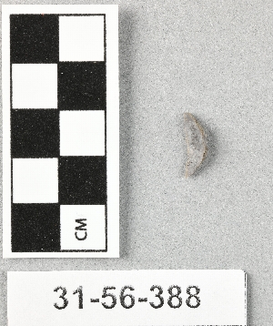 31-56-388