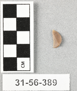31-56-389