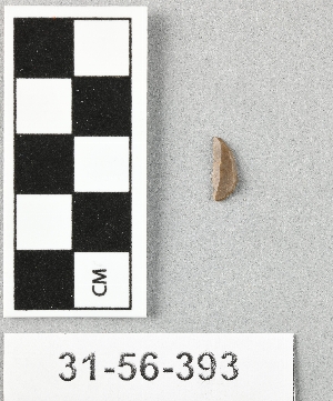 31-56-393