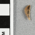 937682