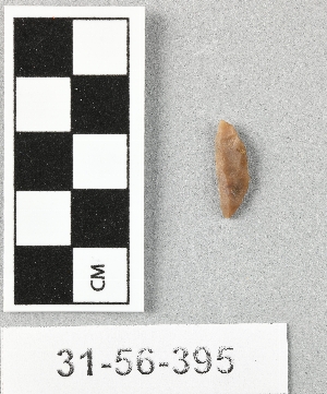31-56-395
