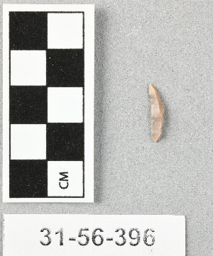 31-56-396
