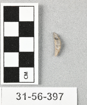 31-56-397