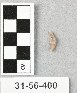 31-56-400