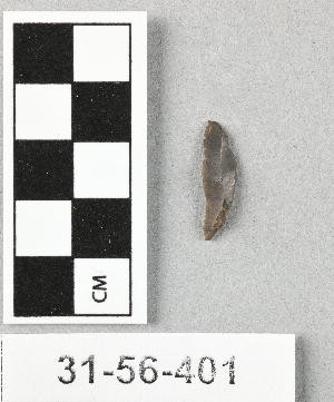 31-56-401