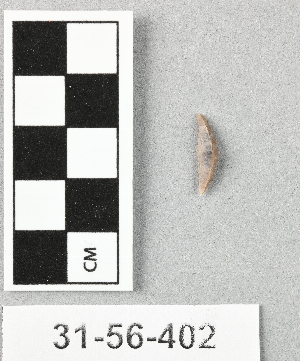 31-56-402