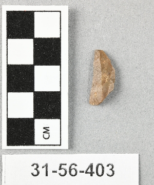 31-56-403