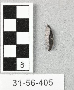 31-56-405