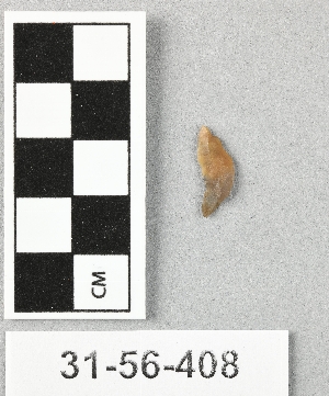 31-56-408
