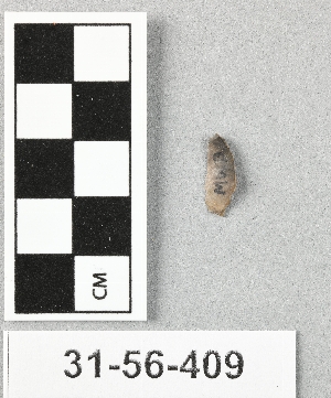31-56-409