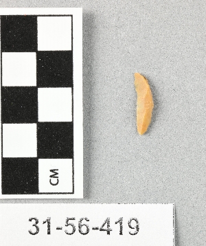 31-56-419