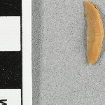 937768