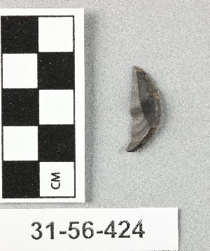 31-56-424