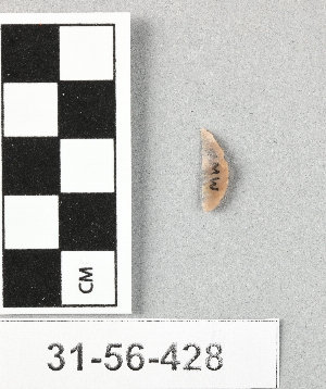 31-56-428
