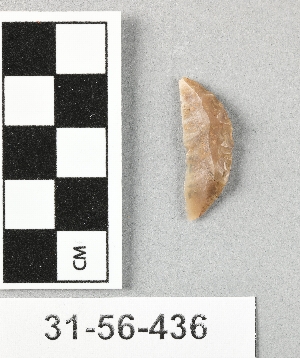 31-56-436