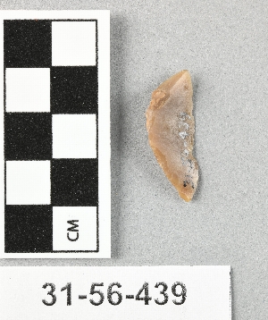 31-56-439