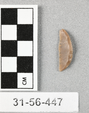 31-56-447