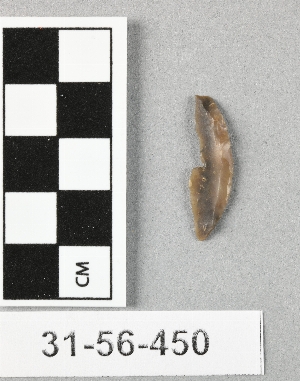 31-56-450