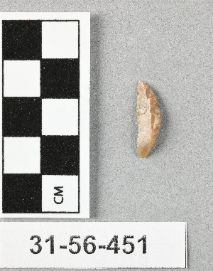 31-56-451