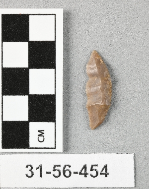 31-56-454